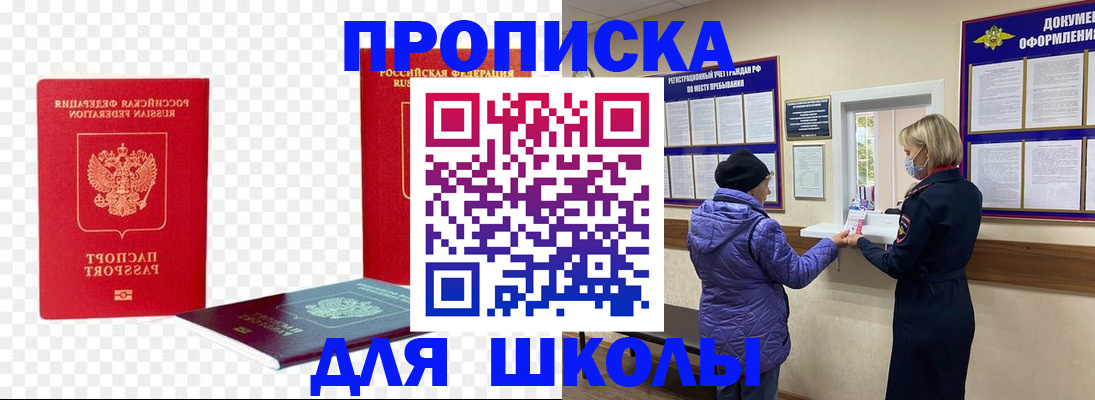 где прописаться в Коле